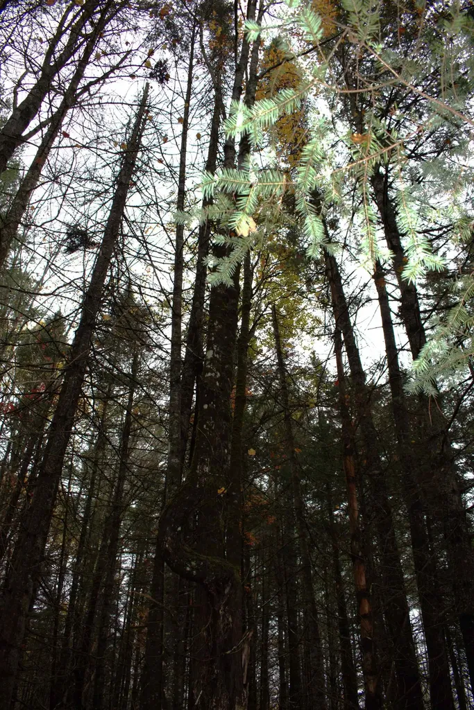 00 Old County South Road Waterford VT 05848