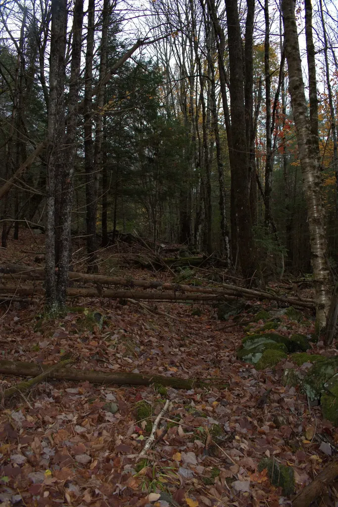 00 Old County South Road Waterford VT 05848