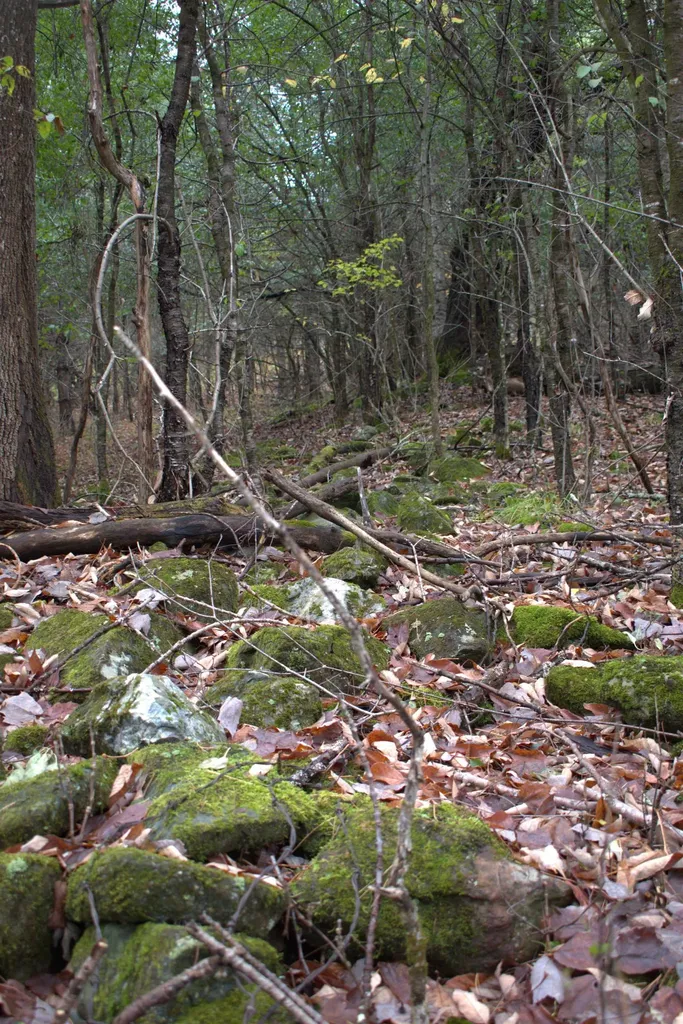 00 Old County South Road Waterford VT 05848