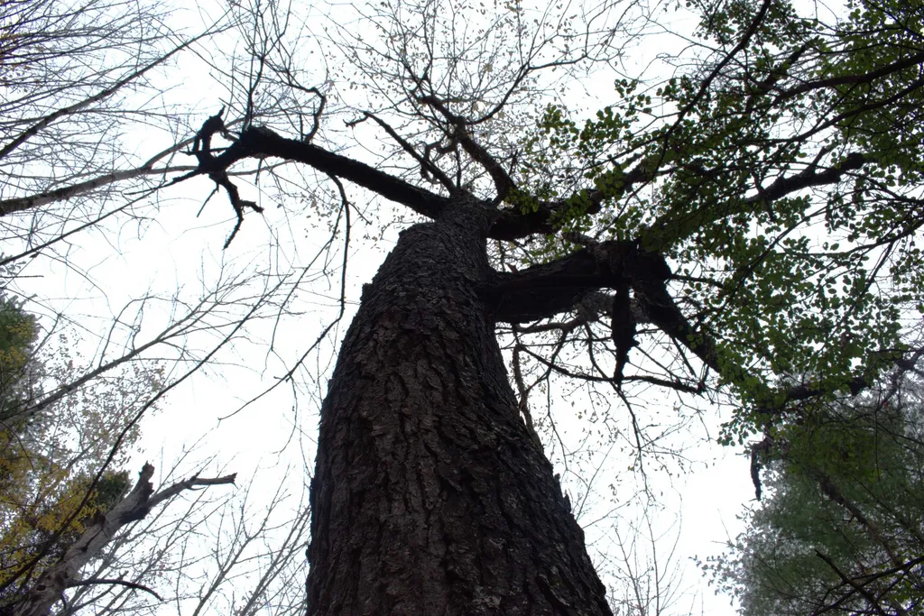 00 Old County South Road Waterford VT 05848