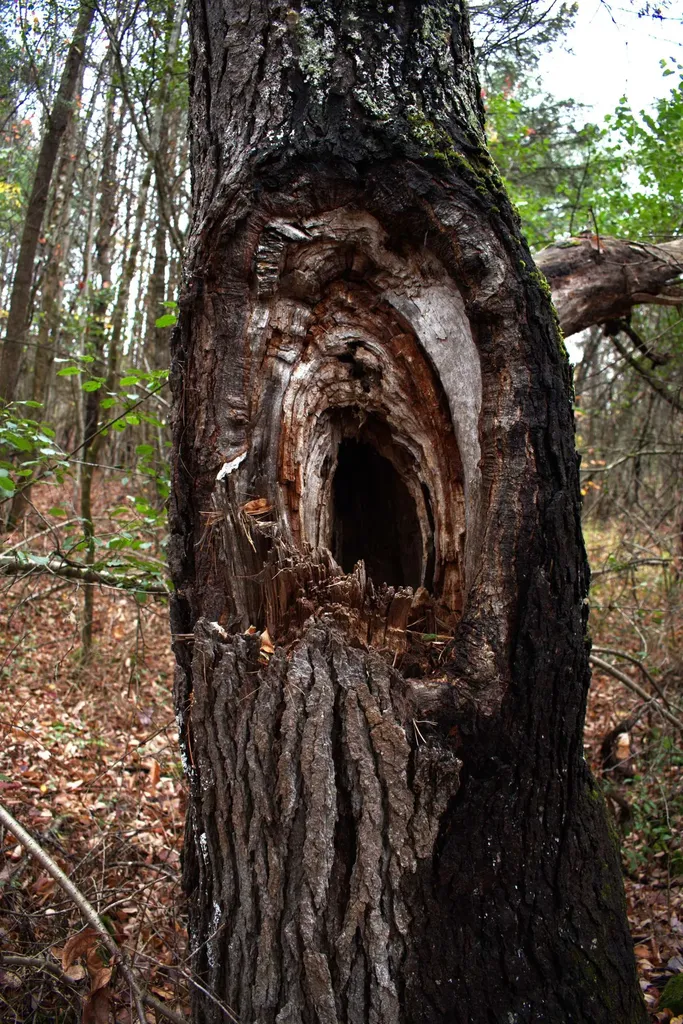 00 Old County South Road Waterford VT 05848