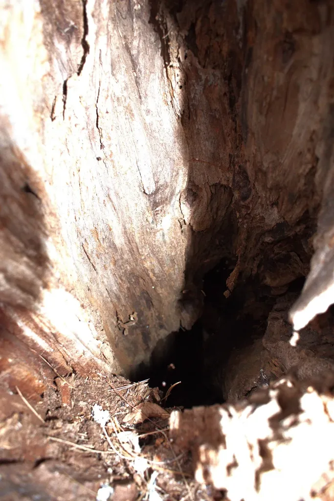 00 Old County South Road Waterford VT 05848