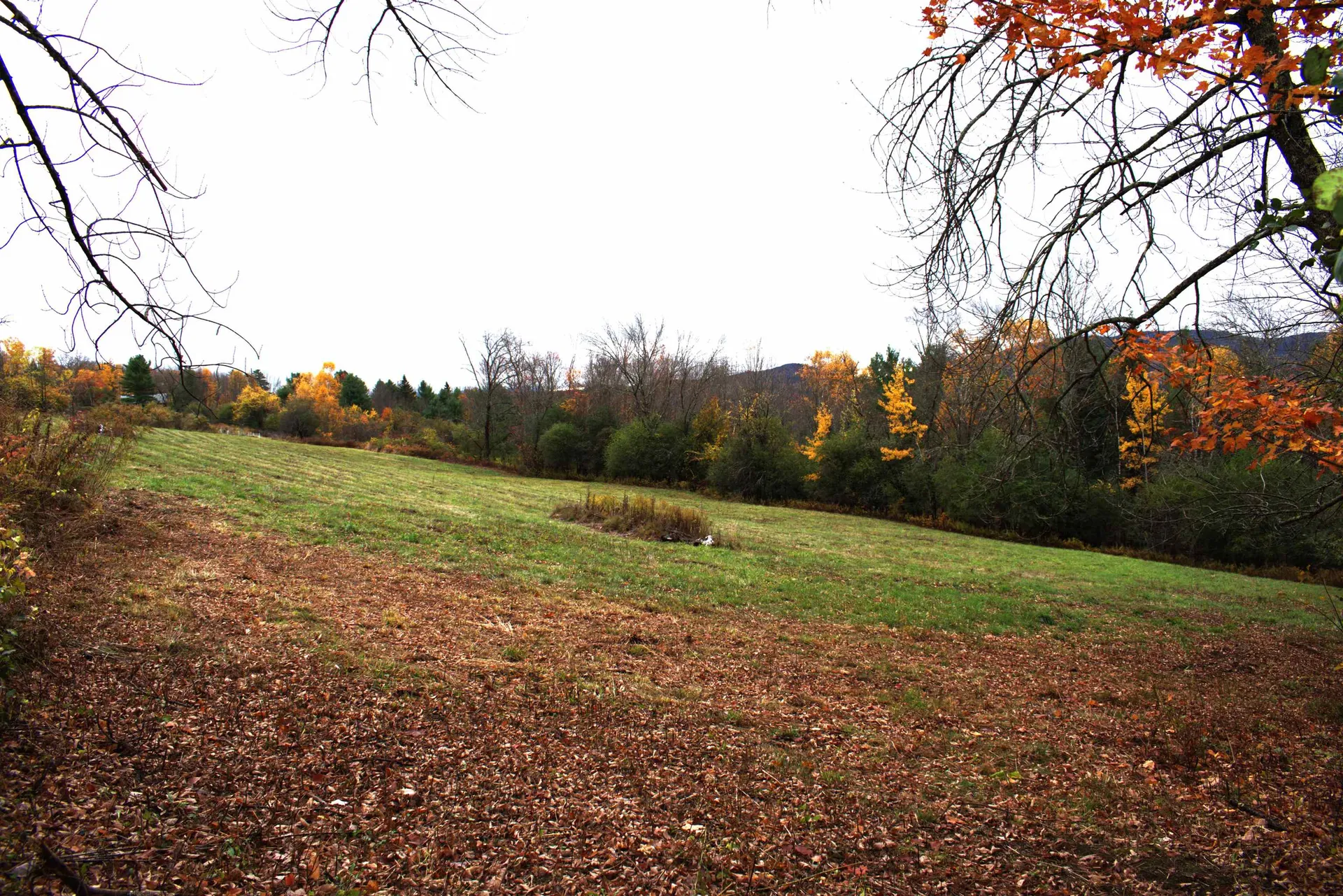 00 Old County South Road Waterford VT 05848