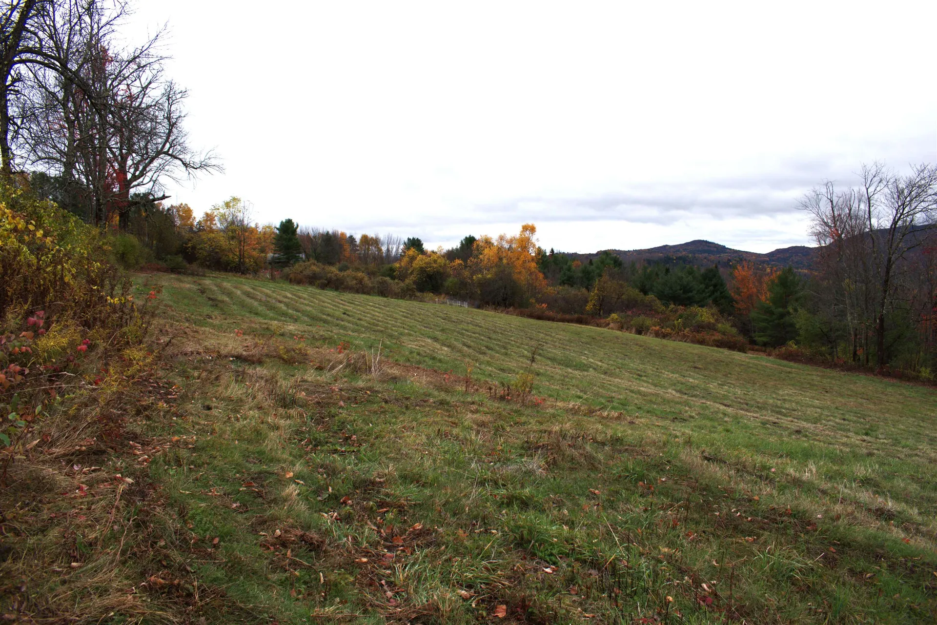 00 Old County South Road Waterford VT 05848