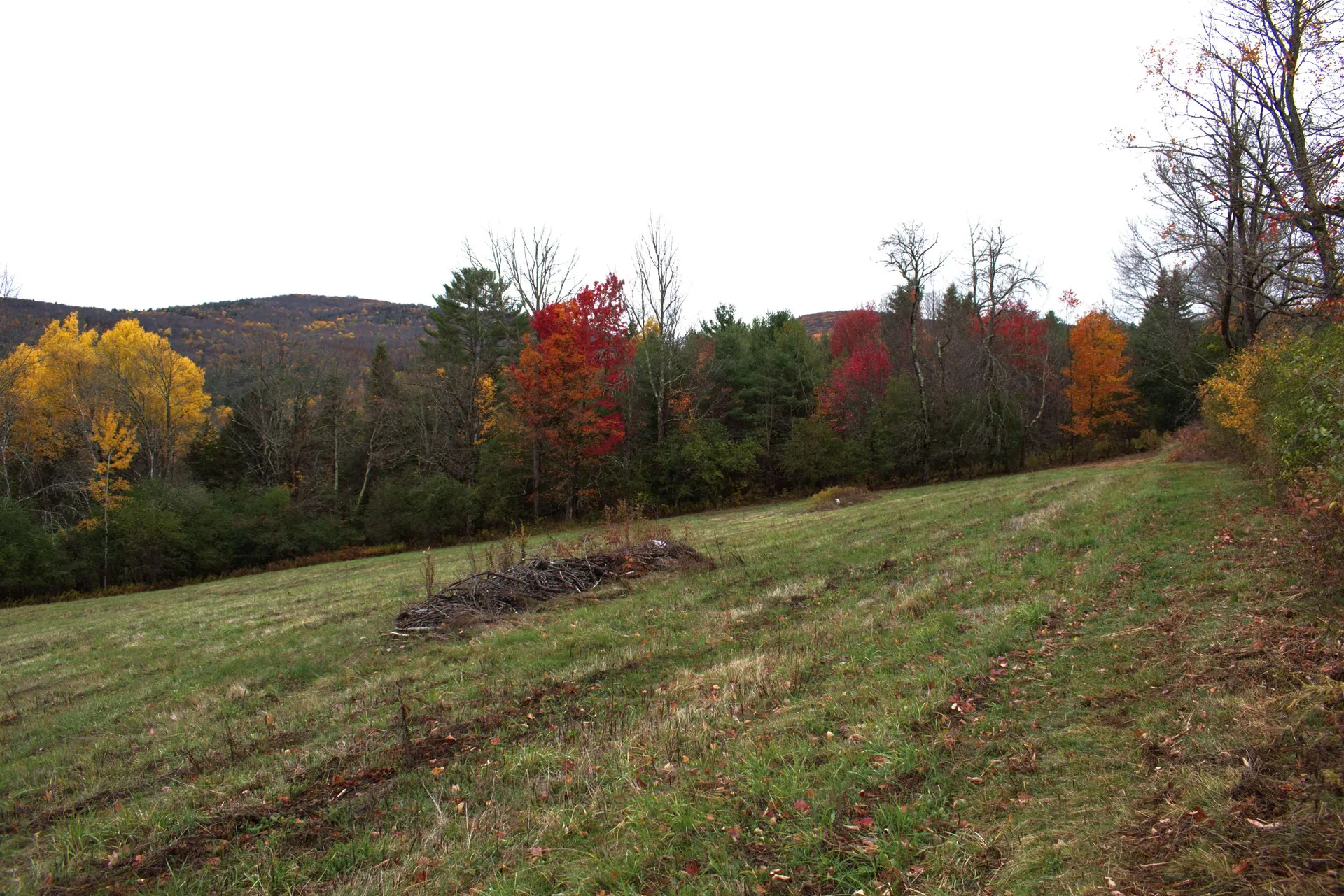 00 Old County South Road Waterford VT 05848