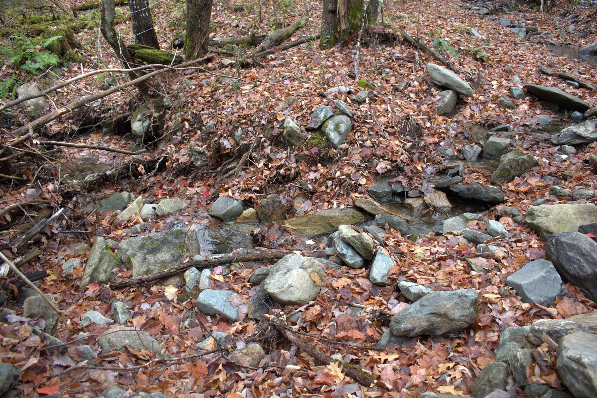 00 Old County South Road Waterford VT 05848