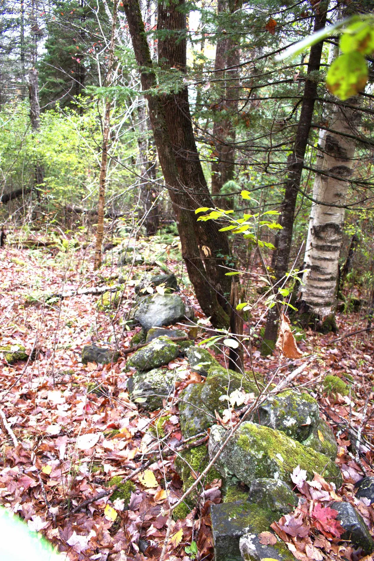 00 Old County South Road Waterford VT 05848