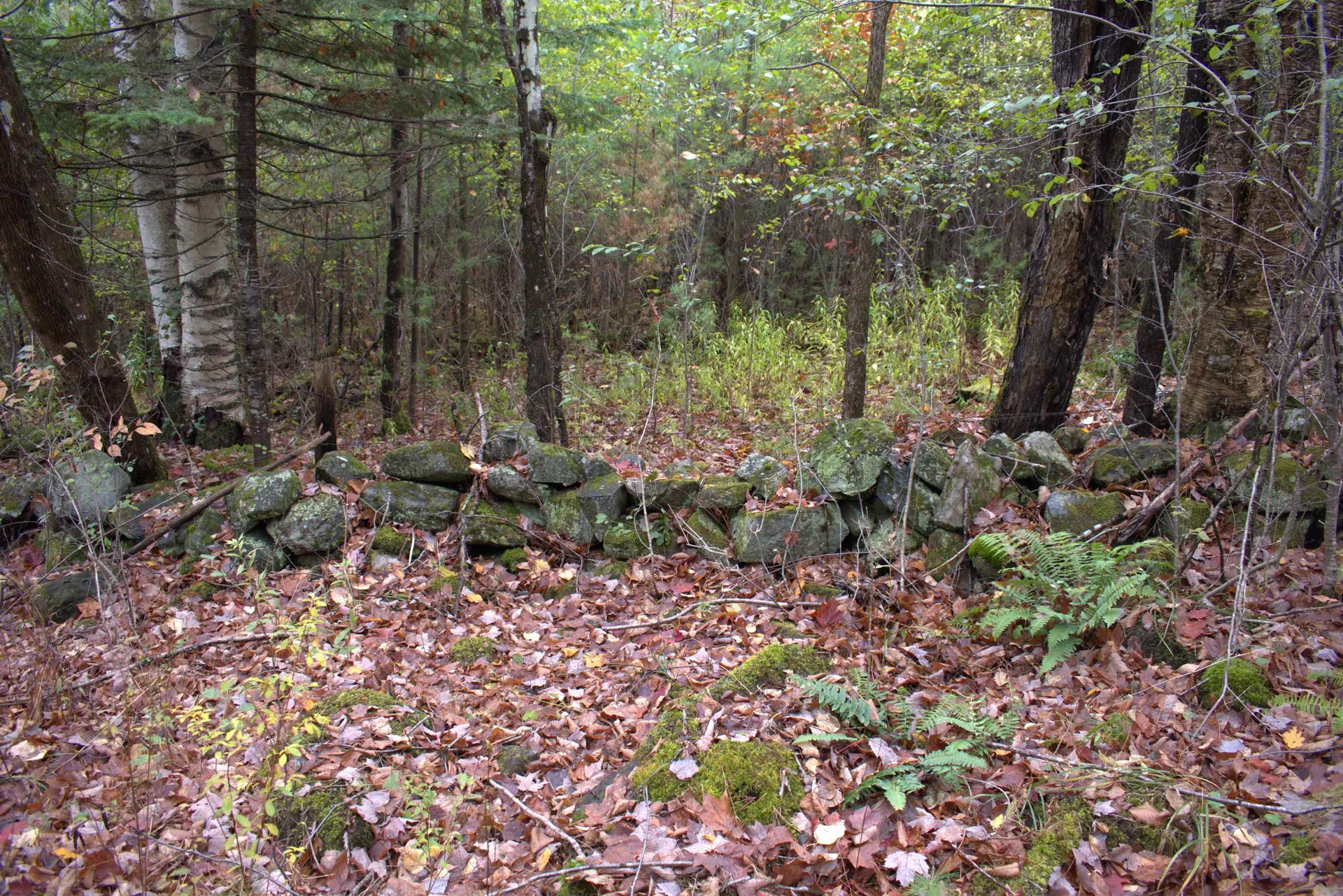 00 Old County South Road Waterford VT 05848