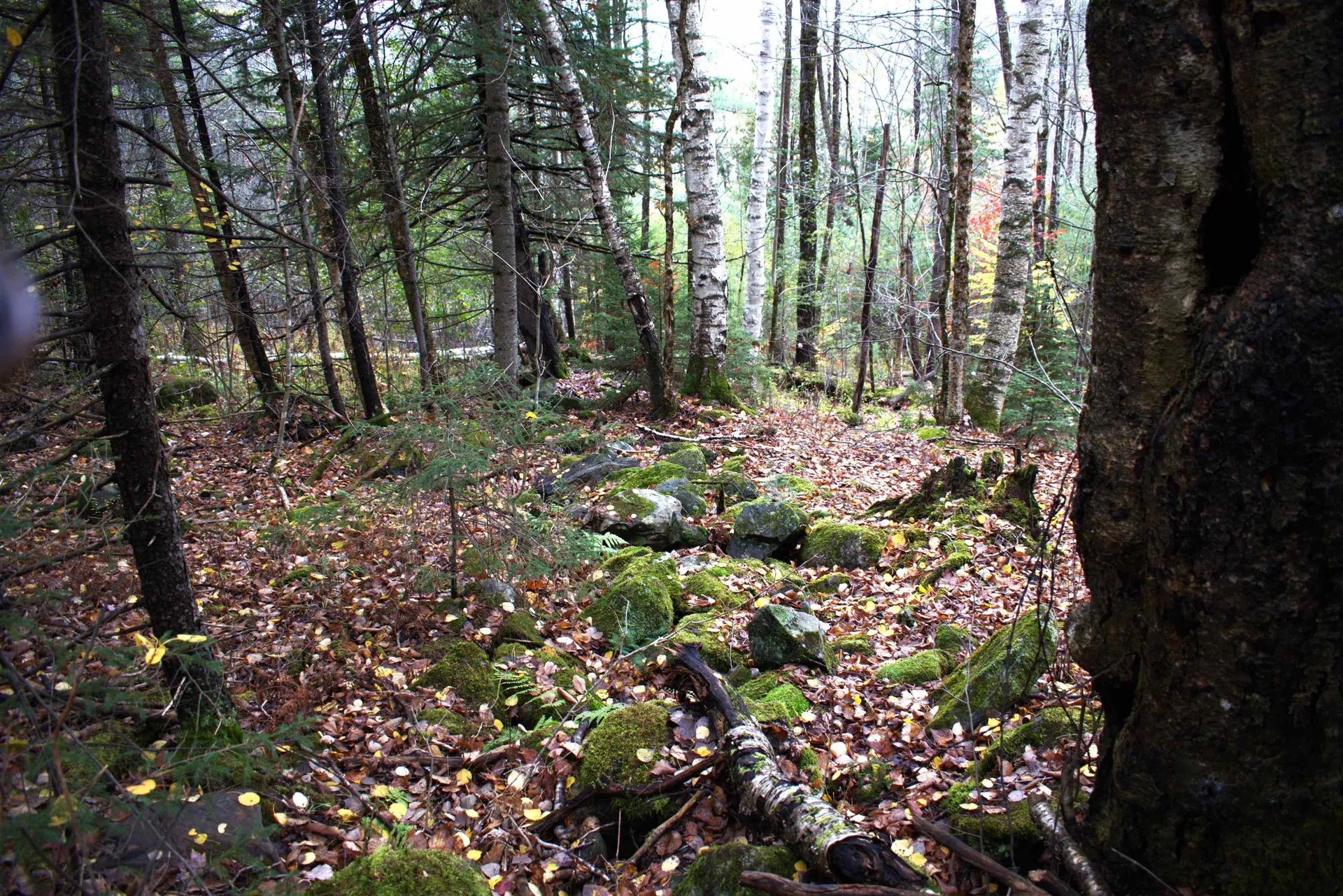 00 Old County South Road Waterford VT 05848