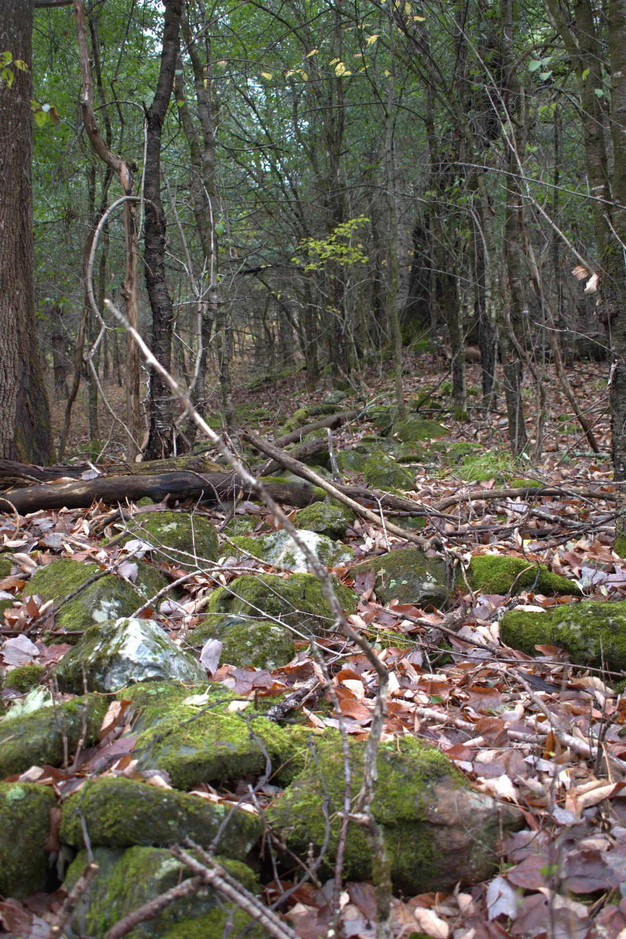 00 Old County South Road Waterford VT 05848