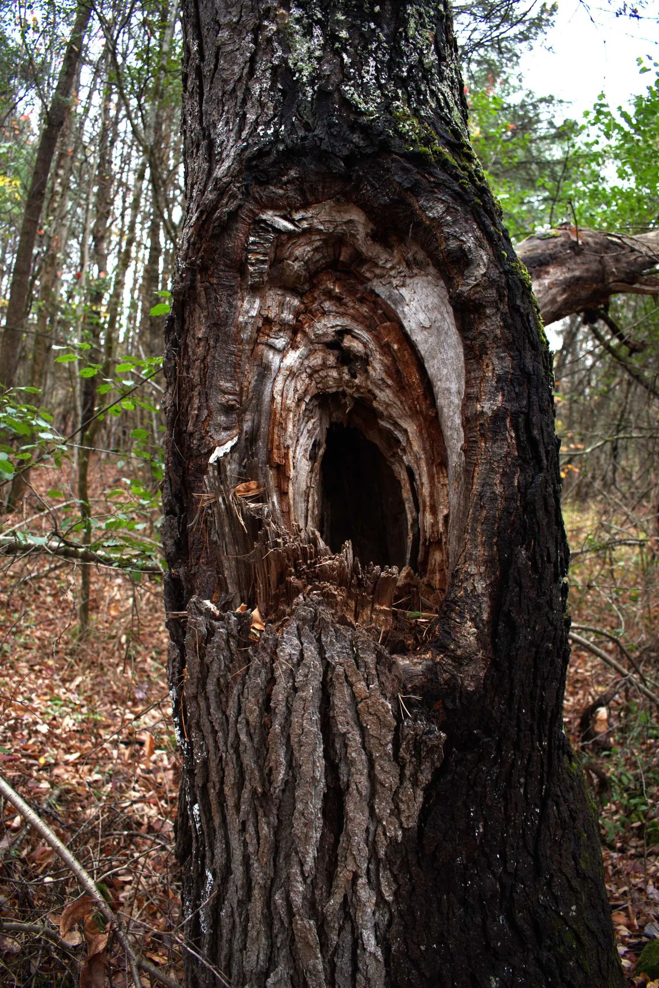 00 Old County South Road Waterford VT 05848