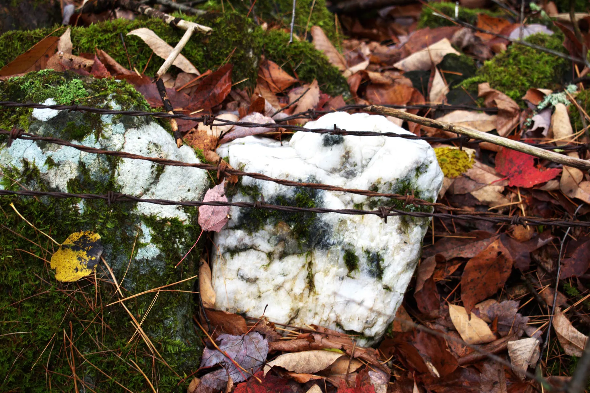 00 Old County South Road Waterford VT 05848