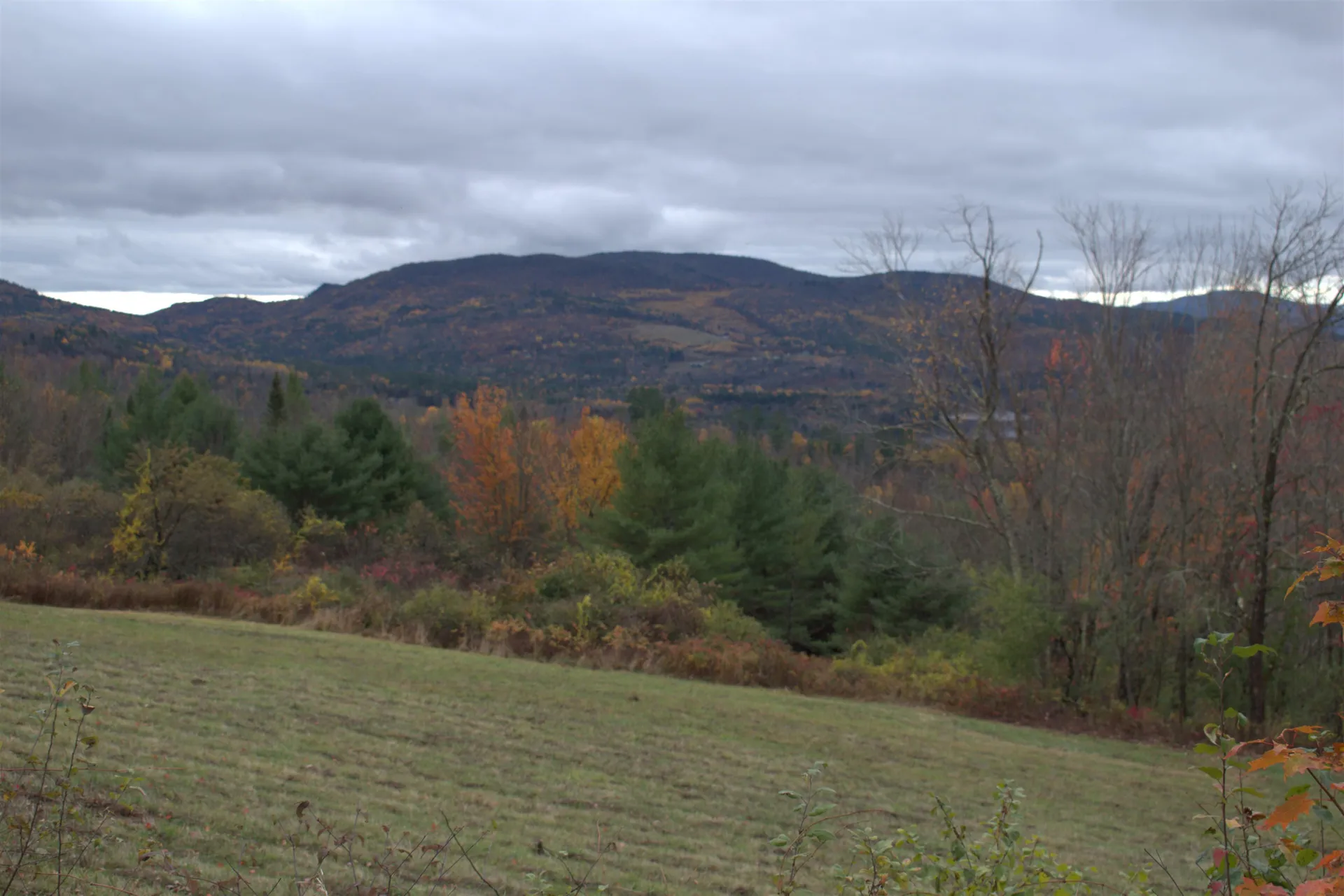 00 Old County South Road Waterford VT 05848