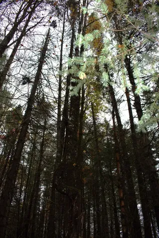 00 Old County South Road Waterford VT 05848