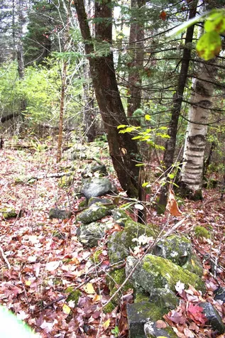 00 Old County South Road Waterford VT 05848