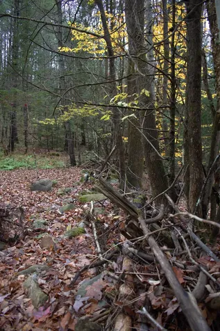 00 Old County South Road Waterford VT 05848