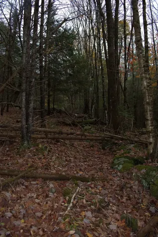 00 Old County South Road Waterford VT 05848