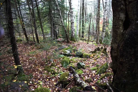 00 Old County South Road Waterford VT 05848