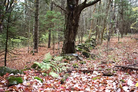 00 Old County South Road Waterford VT 05848