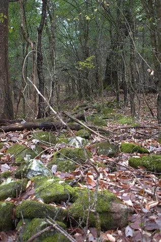 00 Old County South Road Waterford VT 05848