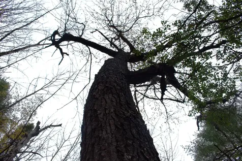 00 Old County South Road Waterford VT 05848