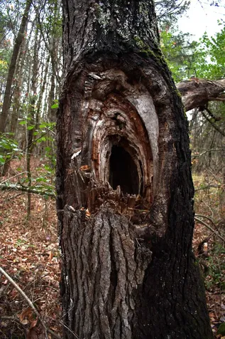 00 Old County South Road Waterford VT 05848