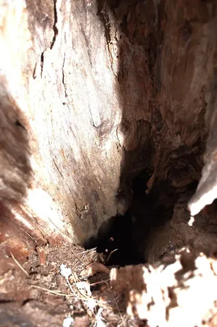 00 Old County South Road Waterford VT 05848