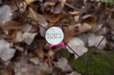 00 Old County South Road Waterford VT 05848