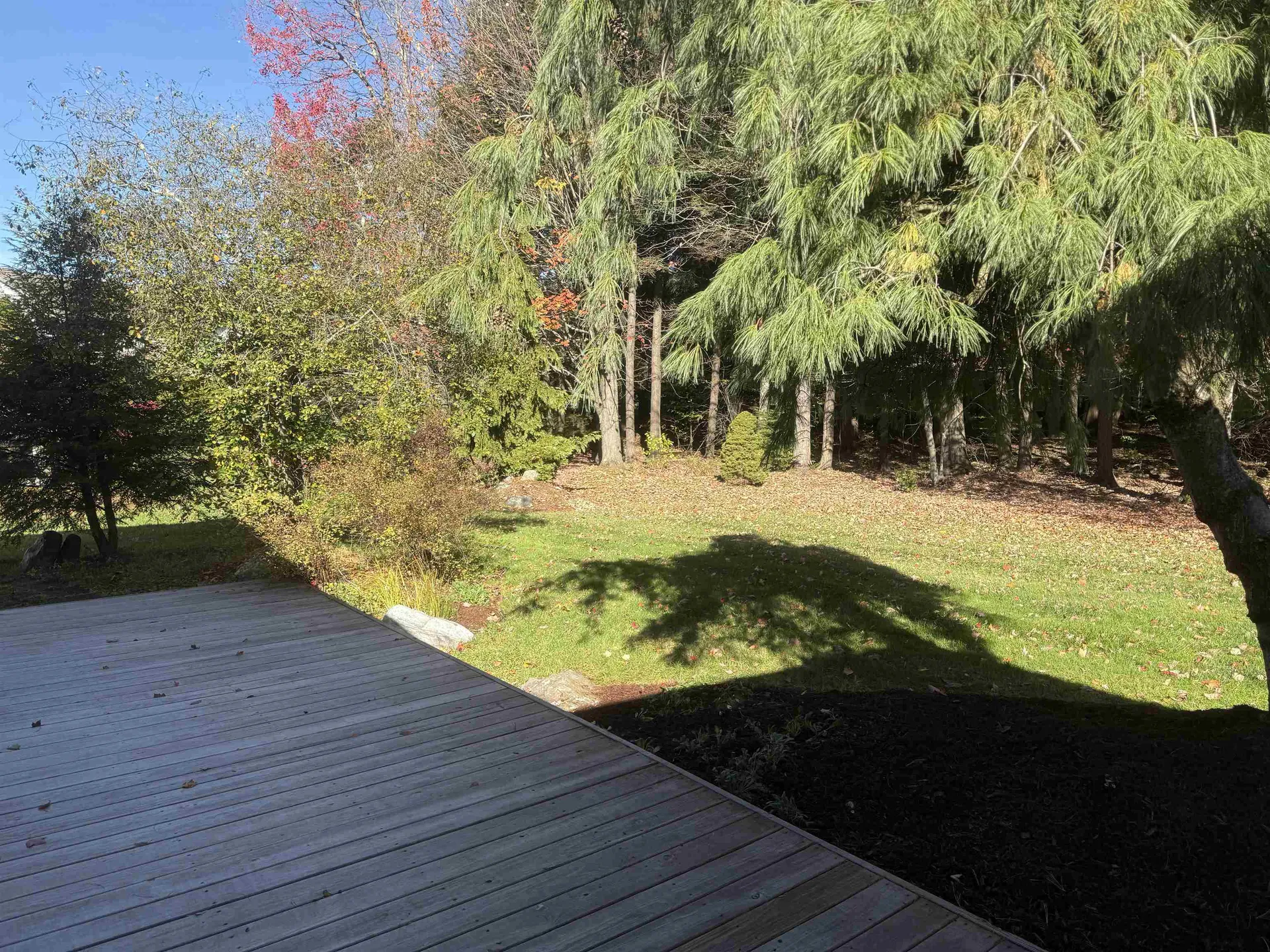 405 Meadowrun Road Williston VT 05495