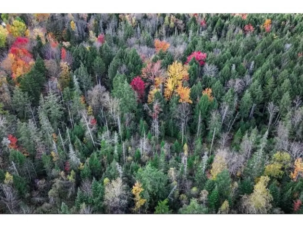 1021 Woods S Road Warren VT 05674