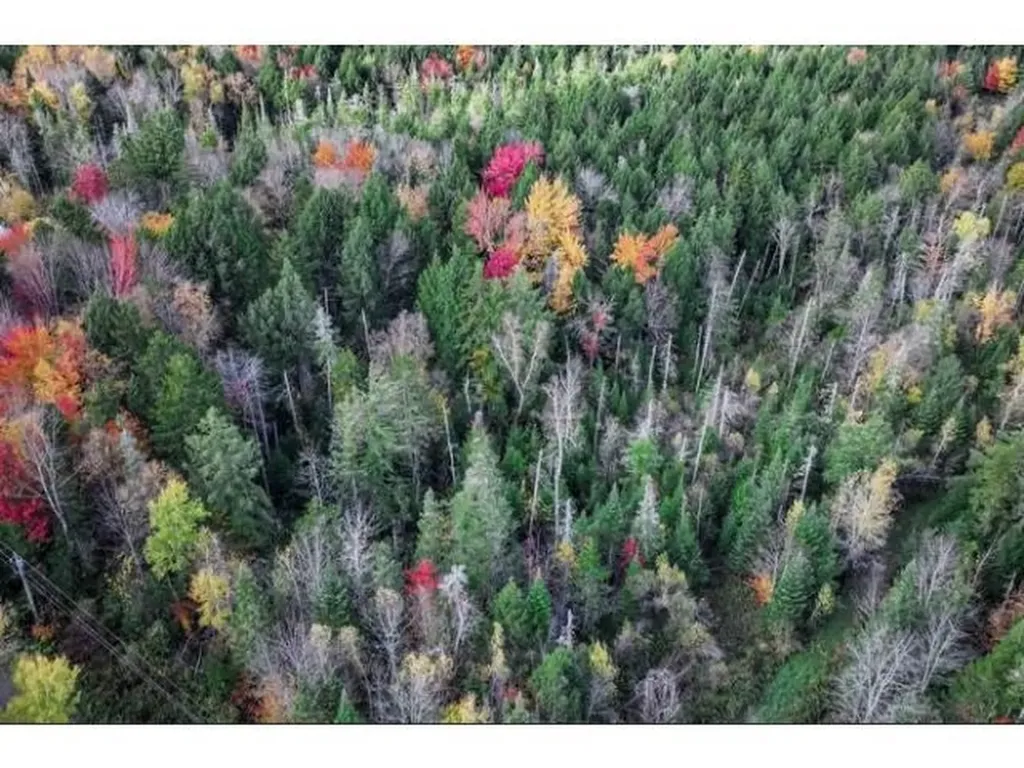 1021 Woods S Road Warren VT 05674