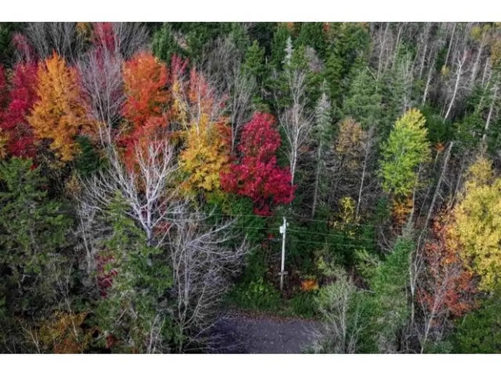 1021 Woods S Road Warren VT 05674