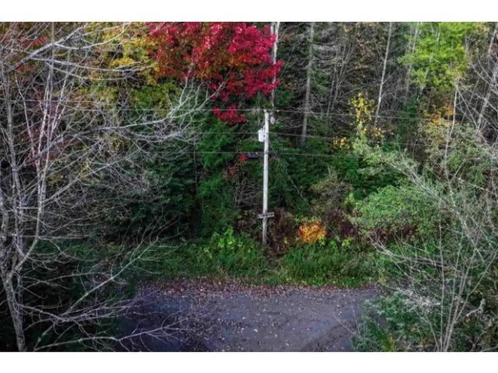 1021 Woods S Road Warren VT 05674