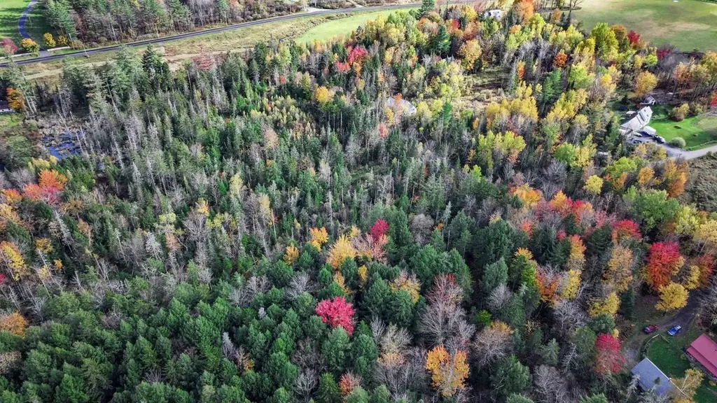 1021 Woods S Road Warren VT 05674