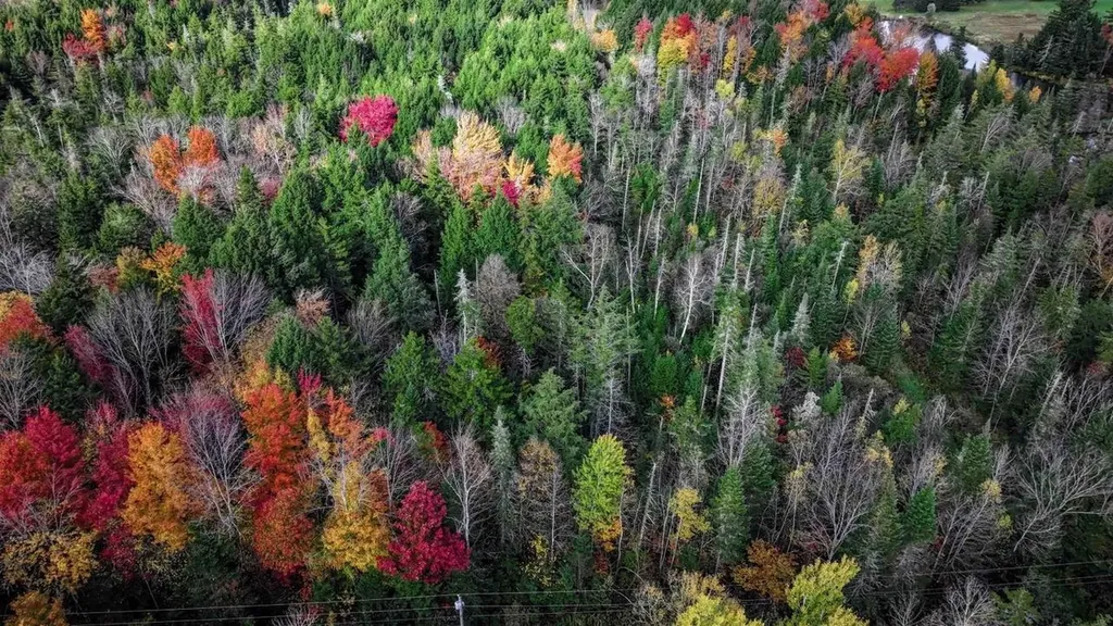 1021 Woods S Road Warren VT 05674