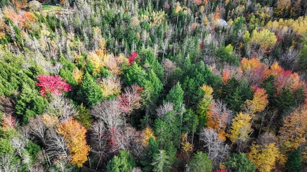 1021 Woods S Road Warren VT 05674