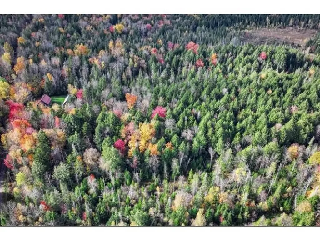 1021 Woods S Road Warren VT 05674