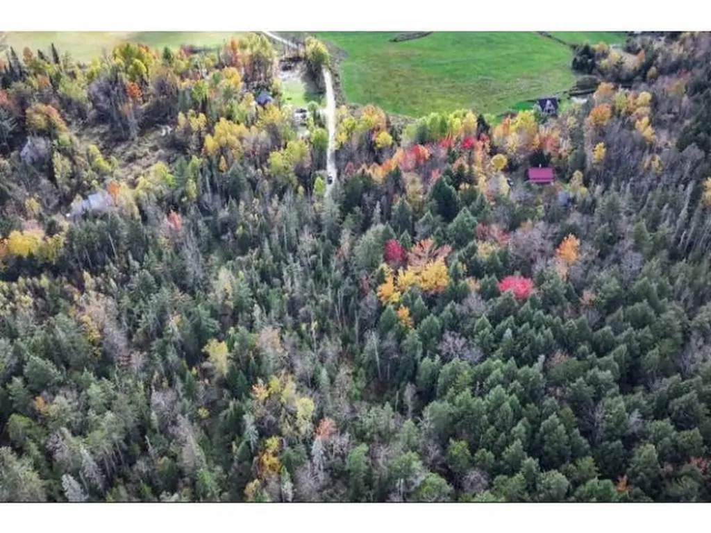 1021 Woods S Road Warren VT 05674