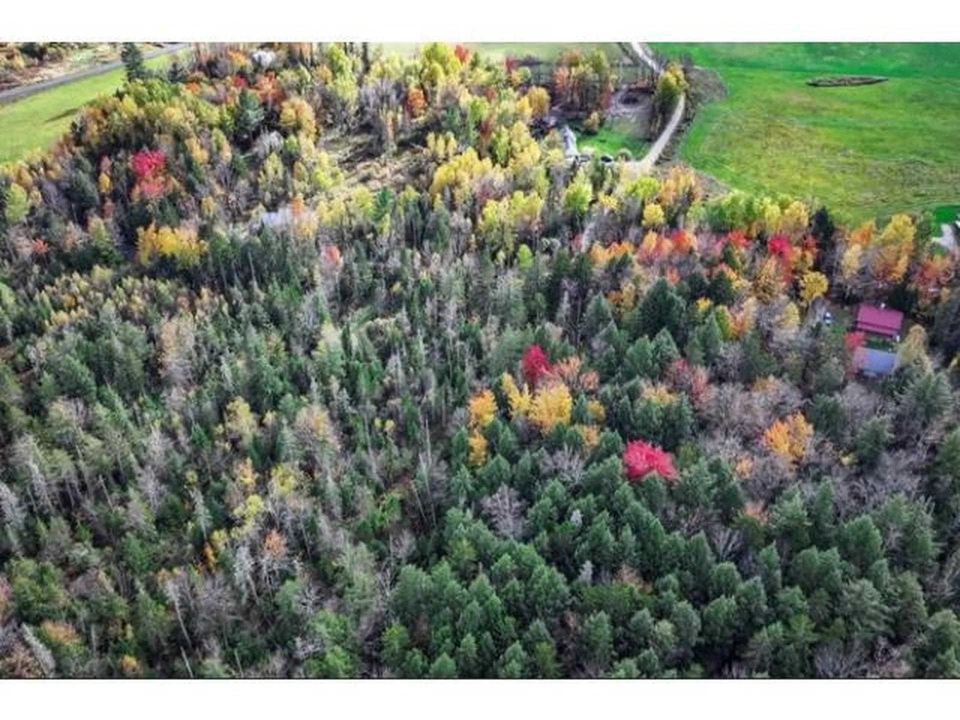 1021 Woods S Road Warren VT 05674