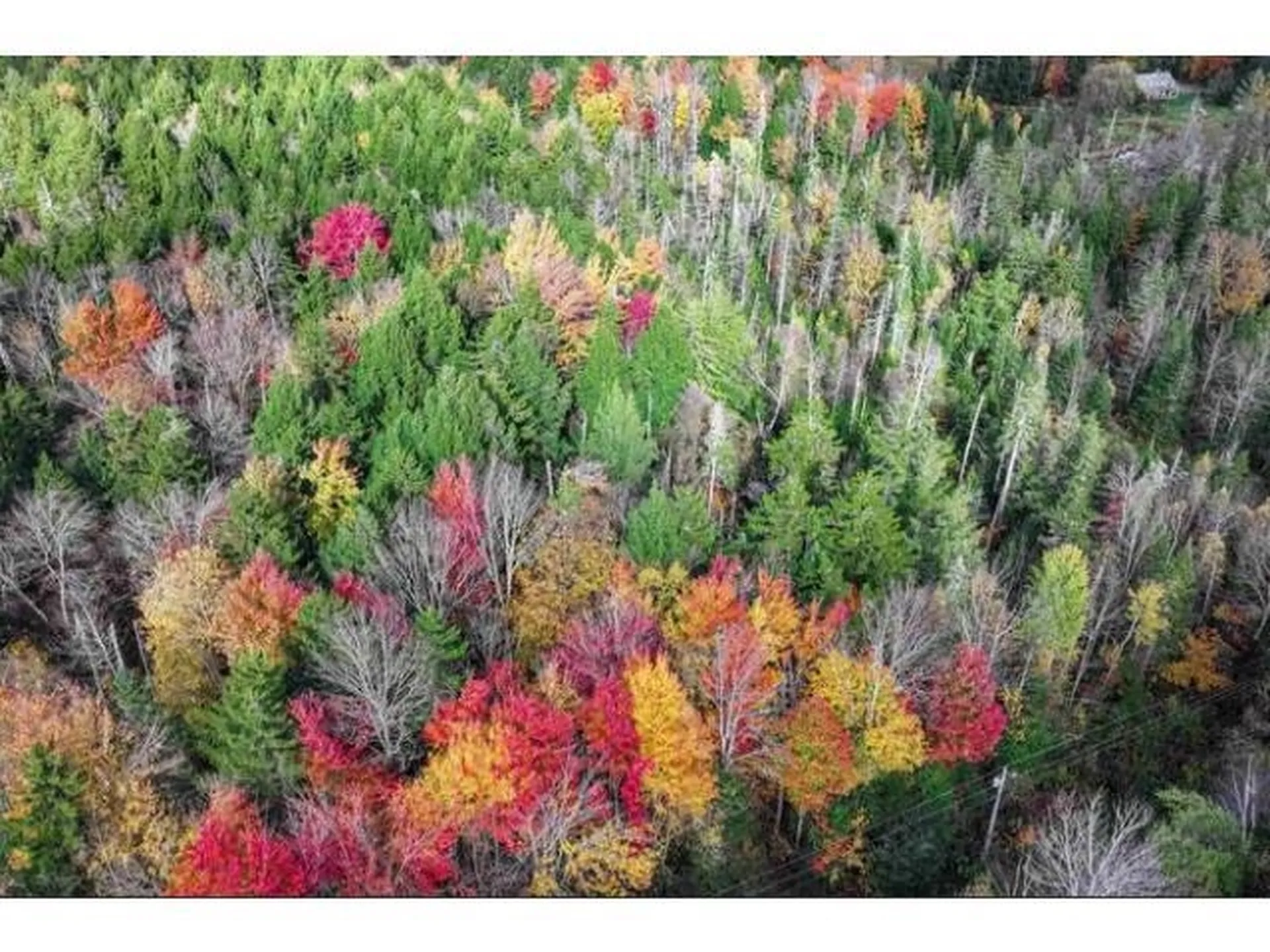 1021 Woods S Road Warren VT 05674