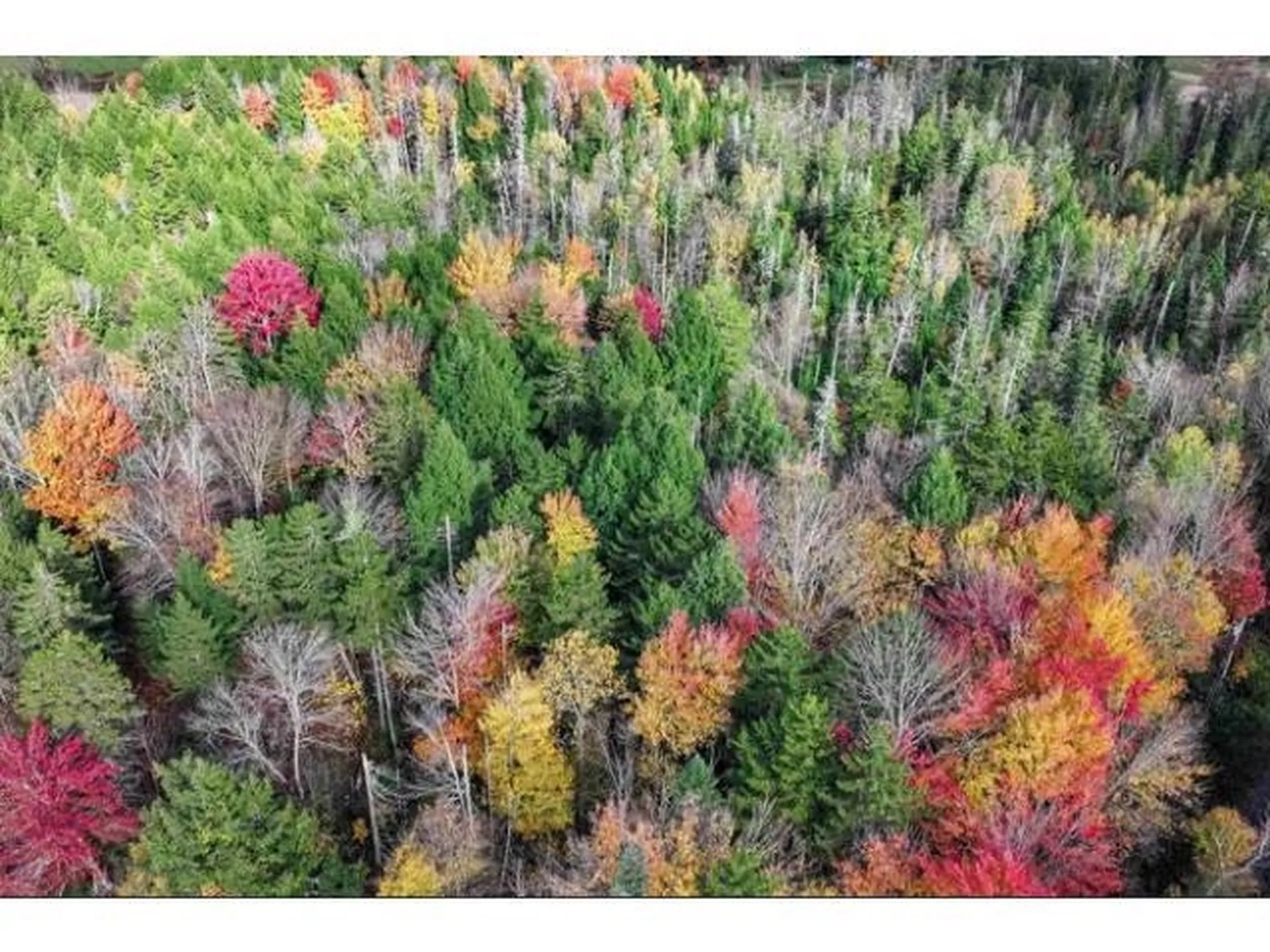 1021 Woods S Road Warren VT 05674