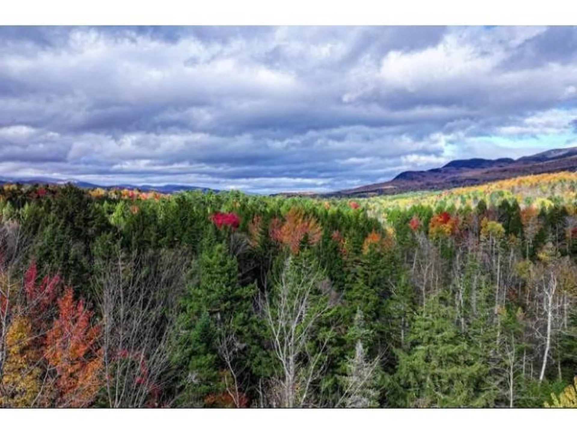 1021 Woods S Road Warren VT 05674