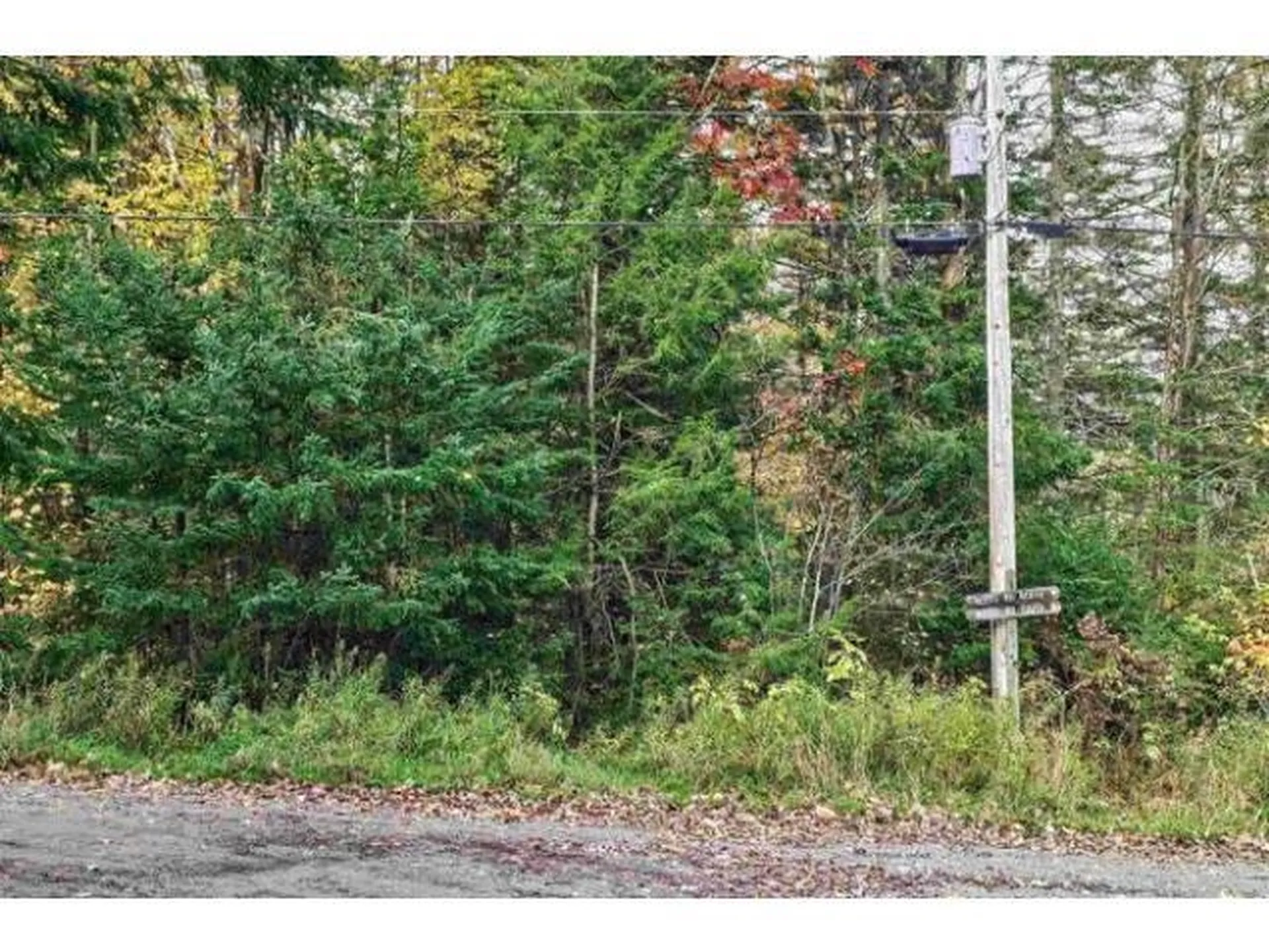 1021 Woods S Road Warren VT 05674