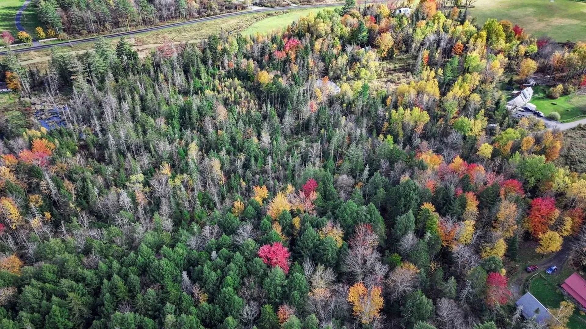 1021 Woods S Road Warren VT 05674