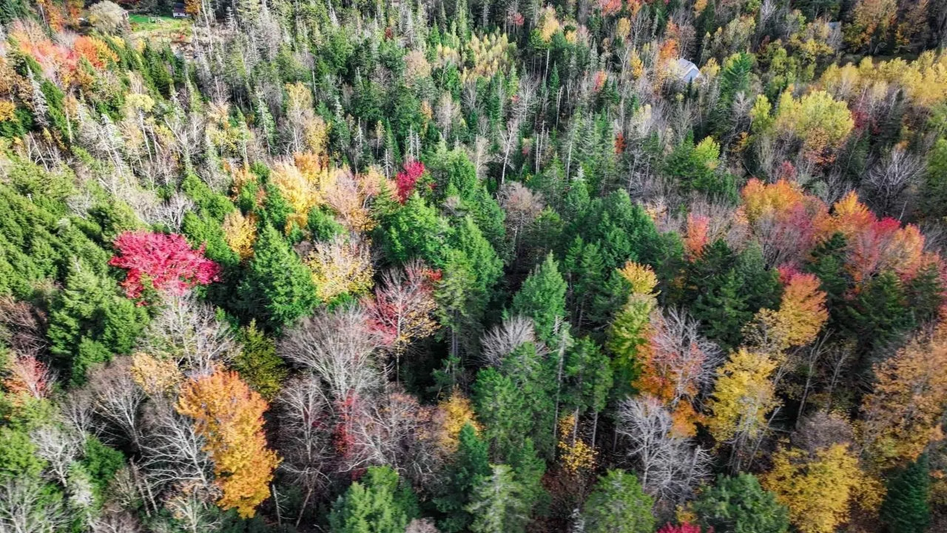 1021 Woods S Road Warren VT 05674