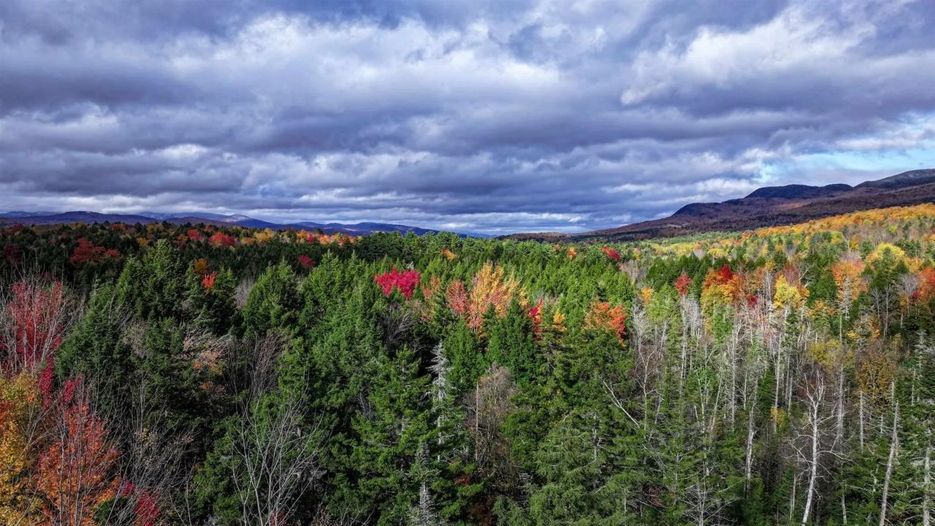 1021 Woods S Road Warren VT 05674