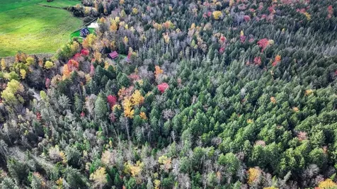 1021 Woods S Road Warren VT 05674