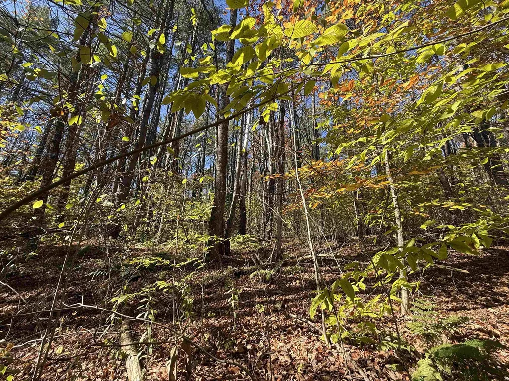 385 Chester Road Grafton VT 05146