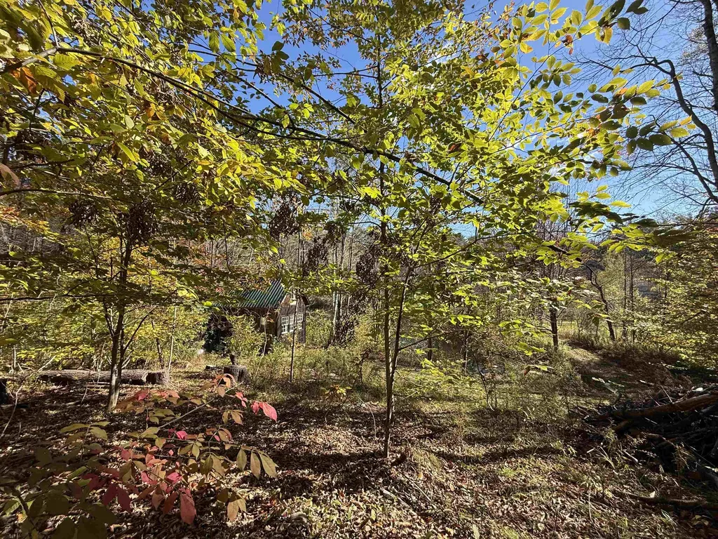 385 Chester Road Grafton VT 05146