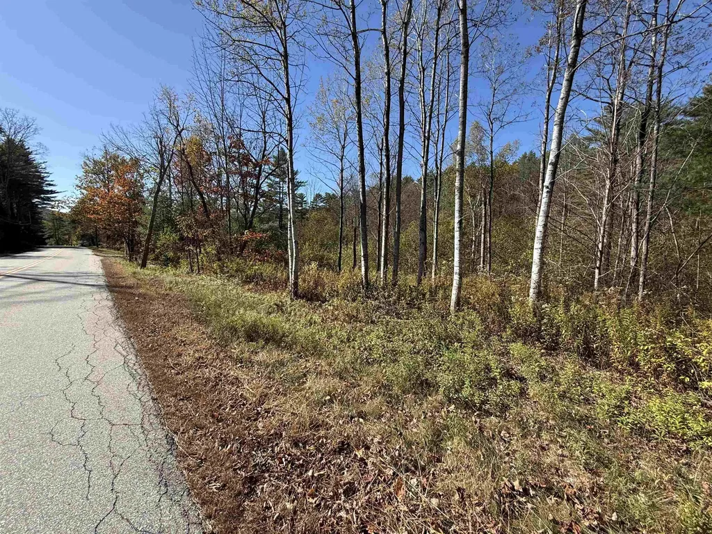 385 Chester Road Grafton VT 05146